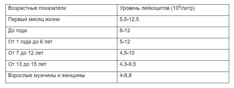 Расшифровка общего анализа крови у женщин: таблица показателей и их норма